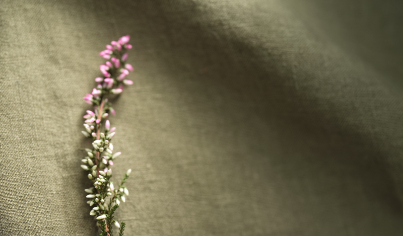 La Edición Sustainable Chic 2026 de Velia Sierra Design